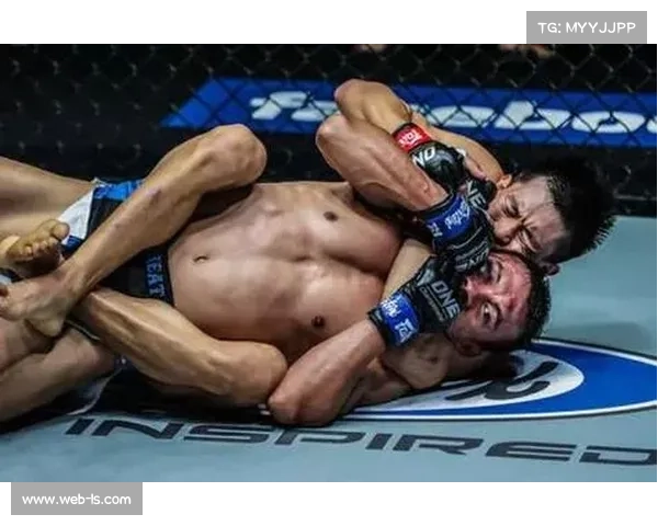 赵志康领衔呼和浩特国际搏击赛，MMA残酷规则胜者可牵走一头牛